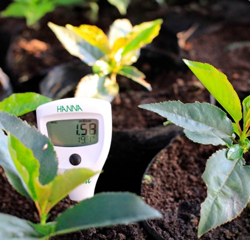 Asesoría en Fertilización para Viveros de Frutales y Hortalizas